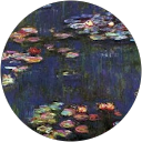 N K profile picture